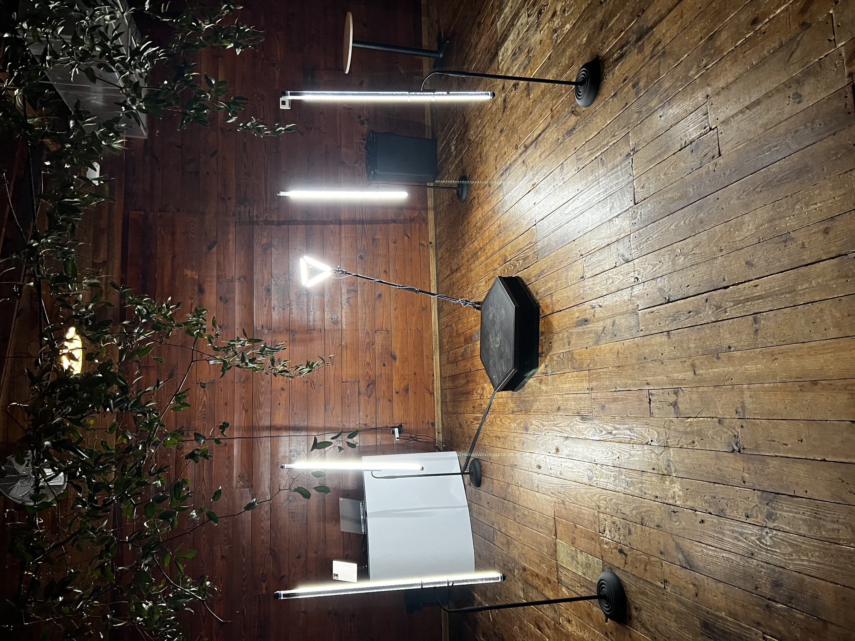 Lake Charles Studio Photo Booth 300